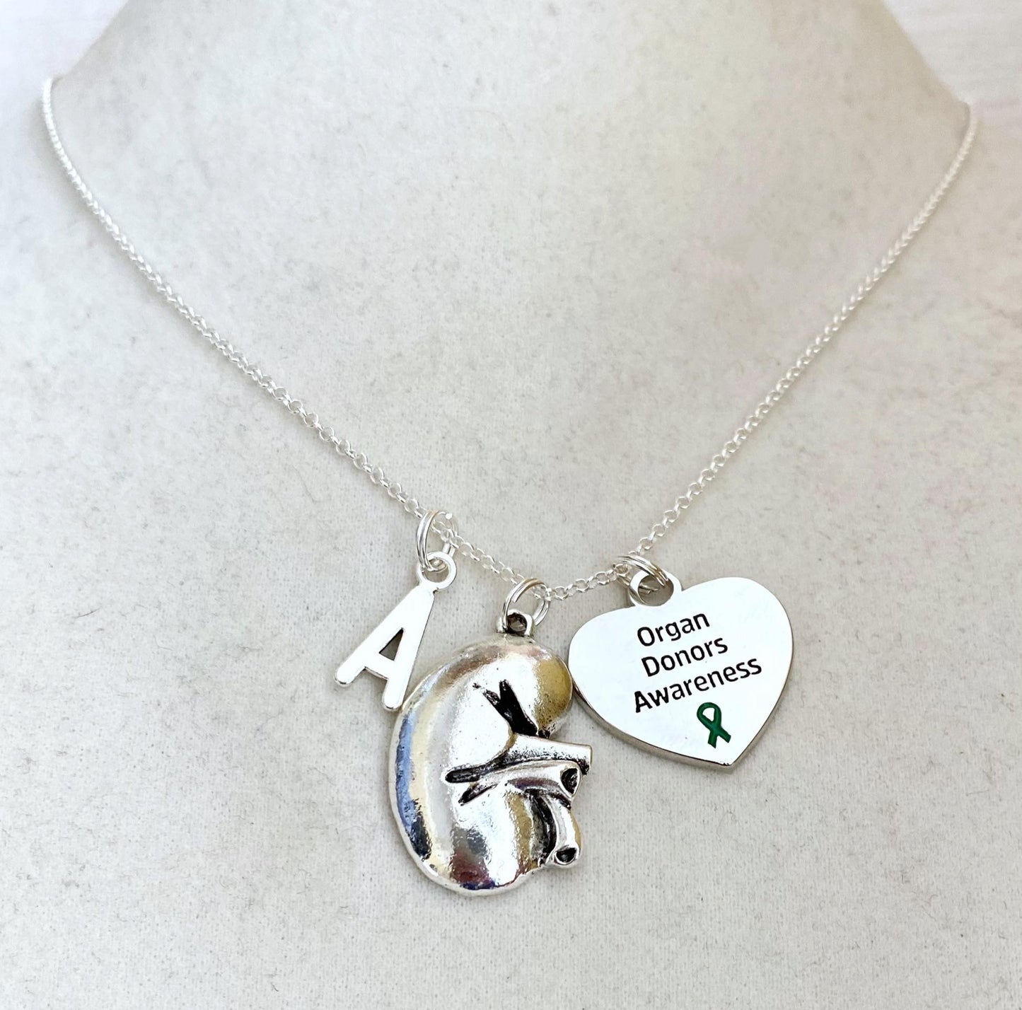 Kidney Organ Donor Necklace Kidney Transplant Kidney Disease Kidney Donor Letter Initial Gift YOU Select Chain Material and Length