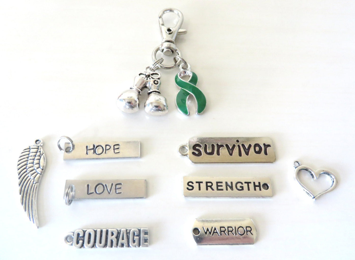 Green Awareness Zipper Pull Key Chain YOU Select Charms  Kidney Trasplant Disease Lyme Disease Bipolar CP Organ Tissue Donation Tourettes