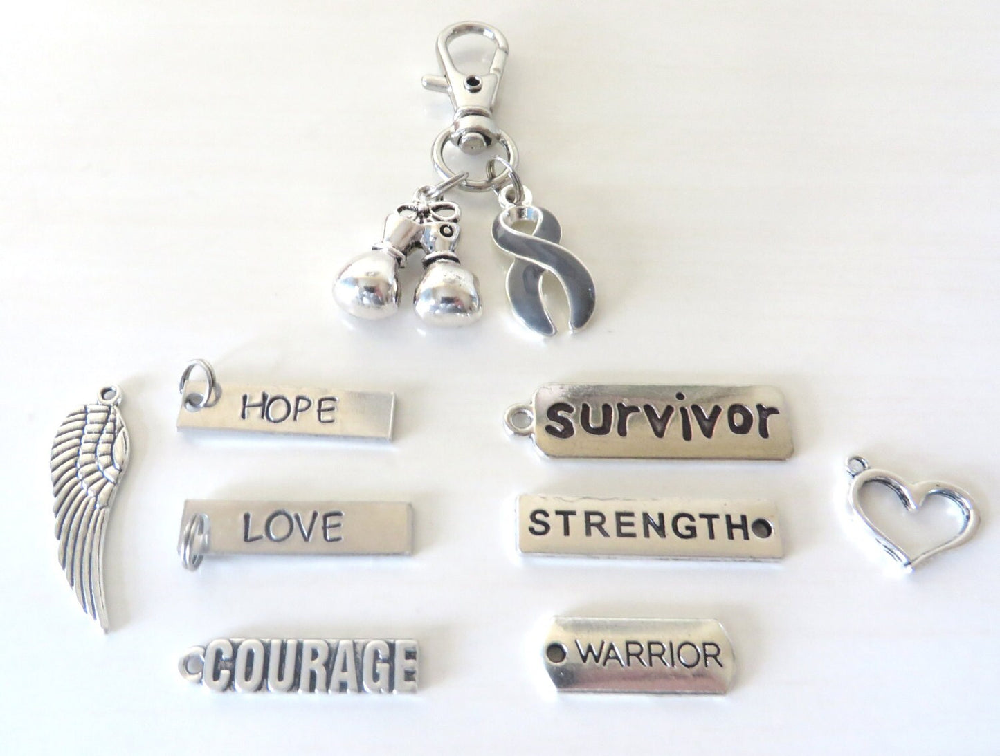 Grey Awareness Zipper Pull Key Chain YOU Select Charms Brain Cancer Brain Tumor Parkinsons Brain Injury Diabetes Asthma