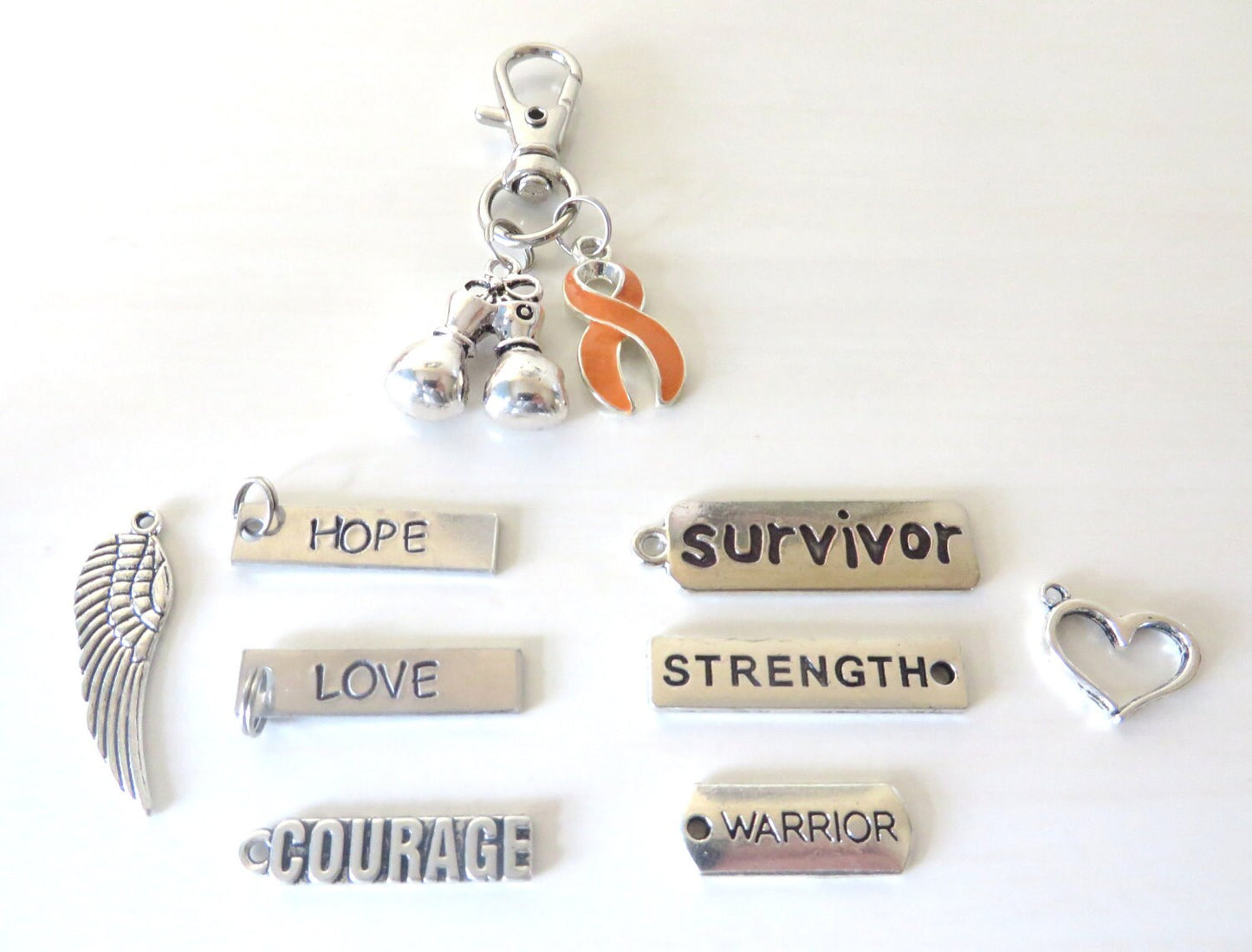 Orange Awareness Zipper Pull Key Chain YOU Select Charms Multiple Sclerosis Kidney Cancer Leukemia ADHD Rsd Cprs Malnutrition Self Injury