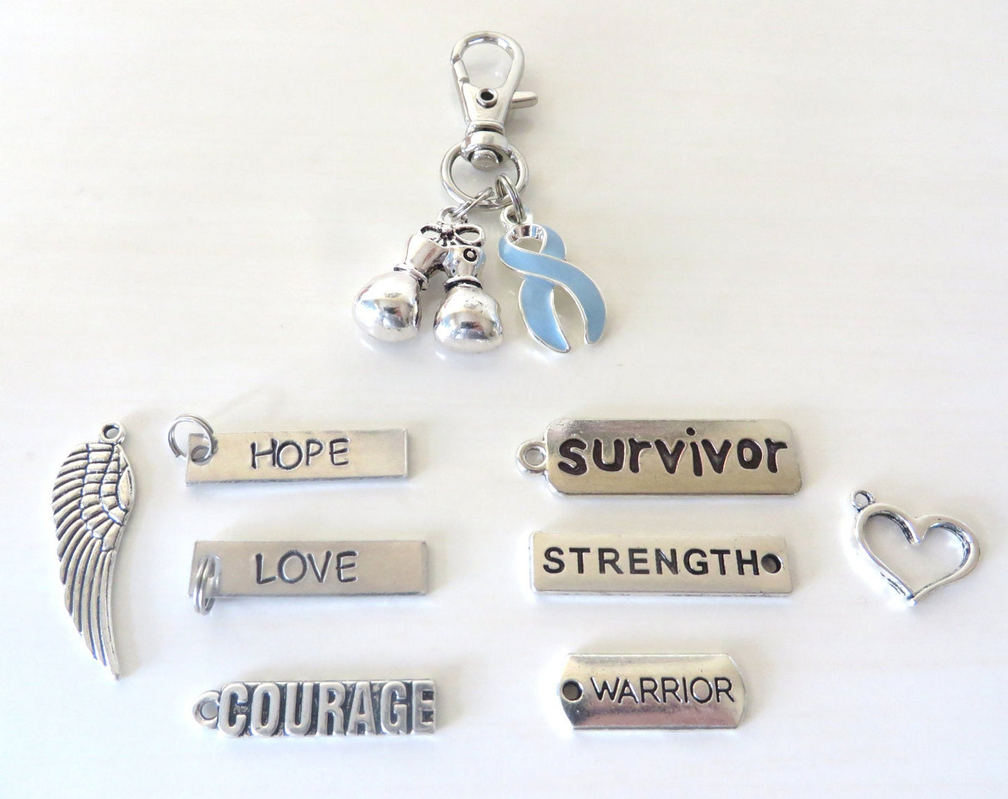 Light Blue Prostate Cancer Awareness Zipper Pull Key Chain YOU Select Charms